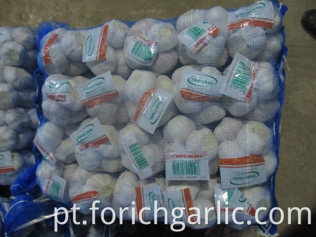 Fresh 2019 Normal White Garlic Size 5 0